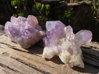 Natural Jacaranda Amethyst Clusters x 2 From Zambia