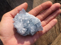 Natural Blue Celestite Crystal Specimens  x 6 From Sakoany, Madagascar - Toprock Gemstones and Minerals 