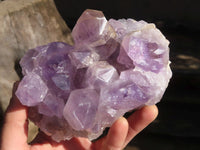 Natural Jacaranda Amethyst Clusters x 2 From Zambia