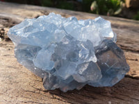 Natural Blue Celestite Crystal Specimens  x 6 From Sakoany, Madagascar - Toprock Gemstones and Minerals 