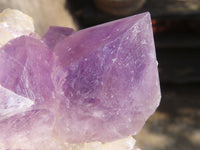 Natural Jacaranda Amethyst Clusters x 2 From Zambia