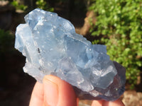 Natural Blue Celestite Crystal Specimens  x 6 From Sakoany, Madagascar - Toprock Gemstones and Minerals 