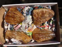 Natural Honey Etched Aragonite Specimens  x 4 From Namibia