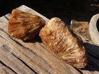 Natural Honey Etched Aragonite Specimens  x 4 From Namibia