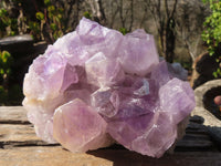 Natural Jacaranda Amethyst Clusters x 2 From Zambia