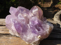 Natural Jacaranda Amethyst Clusters x 2 From Zambia