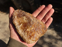 Natural Honey Etched Aragonite Specimens  x 4 From Namibia