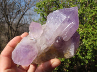 Natural Jacaranda Amethyst Clusters x 2 From Zambia