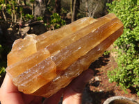 Natural Honey Etched Aragonite Specimens  x 4 From Namibia