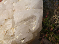 Natural "Cathedral Window" Candle Quartz Formations x 2 From Madagascar