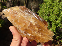 Natural Honey Etched Aragonite Specimens  x 4 From Namibia