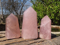 Polished Gemmy Rose Quartz Points x 6 From Antsirabe, Madagascar