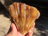 Natural Honey Etched Aragonite Specimens  x 4 From Namibia