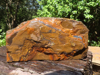 Natural Golden Blue Tigers Eye Specimen x 1 From Prieska, South Africa - TopRock