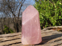 Polished Gemmy Rose Quartz Points x 6 From Antsirabe, Madagascar