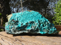 Natural Blue Silica Chrysocolla Specimens  x 2 From Congo - Toprock Gemstones and Minerals 