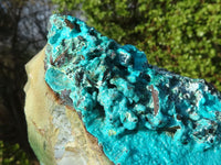 Natural Blue Silica Chrysocolla Specimens  x 2 From Congo - Toprock Gemstones and Minerals 