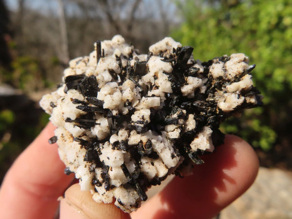 Natural Aegirine With Schorl Specimens  x 35 From Zomba, Malawi