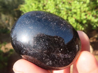 Polished Schorl Black Tourmaline Palm Stones  x 12 From Madagascar - Toprock Gemstones and Minerals 