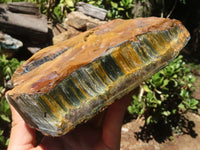 Natural Golden Blue Tigers Eye Specimen x 1 From Prieska, South Africa - TopRock