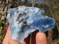 Natural New Sky Blue Calcite Specimens  x 35 From Spitzkop, Namibia