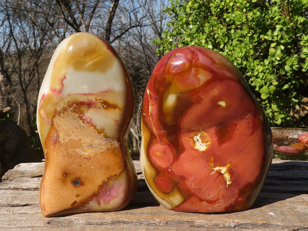 Polished Polychrome Jasper Standing Free Forms  x 2 From Madagascar