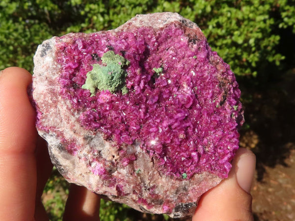 Natural Pink Salrose Cobaltion Dolomite Specimens  x 3 From Congo - Toprock Gemstones and Minerals 