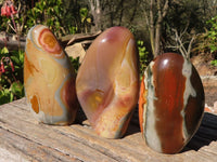 Polished Polychrome / Picasso Jasper Standing Free Forms  x 3 From Madagascar - Toprock Gemstones and Minerals 