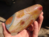 Polished Polychrome / Picasso Jasper Standing Free Forms  x 3 From Madagascar - Toprock Gemstones and Minerals 