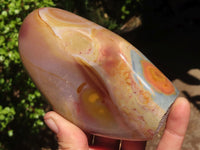 Polished Polychrome / Picasso Jasper Standing Free Forms  x 3 From Madagascar - Toprock Gemstones and Minerals 