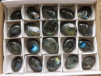 Polished Flashy Labradorite Palm Stones  x 20 From Tulear, Madagascar - TopRock