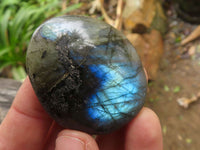 Polished Flashy Labradorite Palm Stones  x 20 From Tulear, Madagascar - TopRock