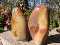 Polished Polychrome / Picasso Jasper Standing Free Forms  x 3 From Madagascar - Toprock Gemstones and Minerals 