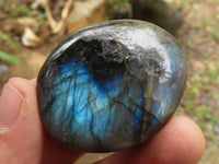 Polished Flashy Labradorite Palm Stones  x 20 From Tulear, Madagascar - TopRock