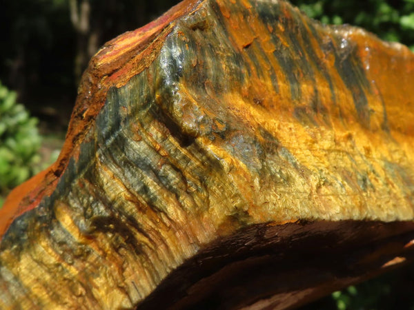 Natural Golden Blue Tigers Eye Specimen x 1 From Prieska, South Africa - TopRock