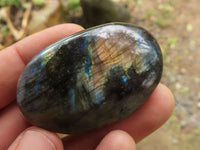 Polished Flashy Labradorite Palm Stones  x 20 From Tulear, Madagascar - TopRock