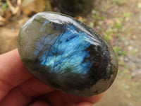 Polished Flashy Labradorite Palm Stones  x 20 From Tulear, Madagascar - TopRock