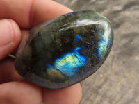 Polished Flashy Labradorite Palm Stones  x 20 From Tulear, Madagascar - TopRock