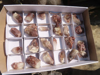 Natural Red Hematoid Quartz Specimens x 24 From Karoi, Zimbabwe