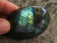 Polished Flashy Labradorite Palm Stones  x 20 From Tulear, Madagascar - TopRock