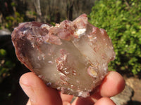 Natural Red Hematoid Quartz Specimens x 24 From Karoi, Zimbabwe