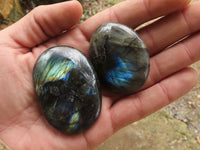 Polished Flashy Labradorite Palm Stones  x 20 From Tulear, Madagascar - TopRock