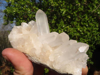 Natural Small White Quartz Clusters  x 12 From Madagascar