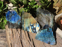 Polished One Side Polished Labradorite Slices  x 4 From Madagascar - Toprock Gemstones and Minerals 