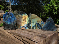 Polished One Side Polished Labradorite Slices  x 4 From Madagascar - Toprock Gemstones and Minerals 