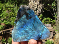 Polished One Side Polished Labradorite Slices  x 4 From Madagascar - Toprock Gemstones and Minerals 