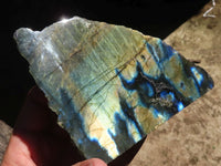 Polished One Side Polished Labradorite Slices  x 4 From Madagascar - Toprock Gemstones and Minerals 