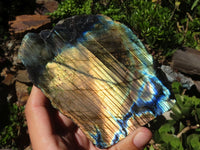 Polished One Side Polished Labradorite Slices  x 4 From Madagascar - Toprock Gemstones and Minerals 