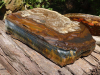 Natural Golden Blue Tigers Eye Specimen x 1 From Prieska, South Africa - TopRock