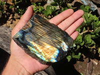 Polished One Side Polished Labradorite Slices  x 4 From Madagascar - Toprock Gemstones and Minerals 